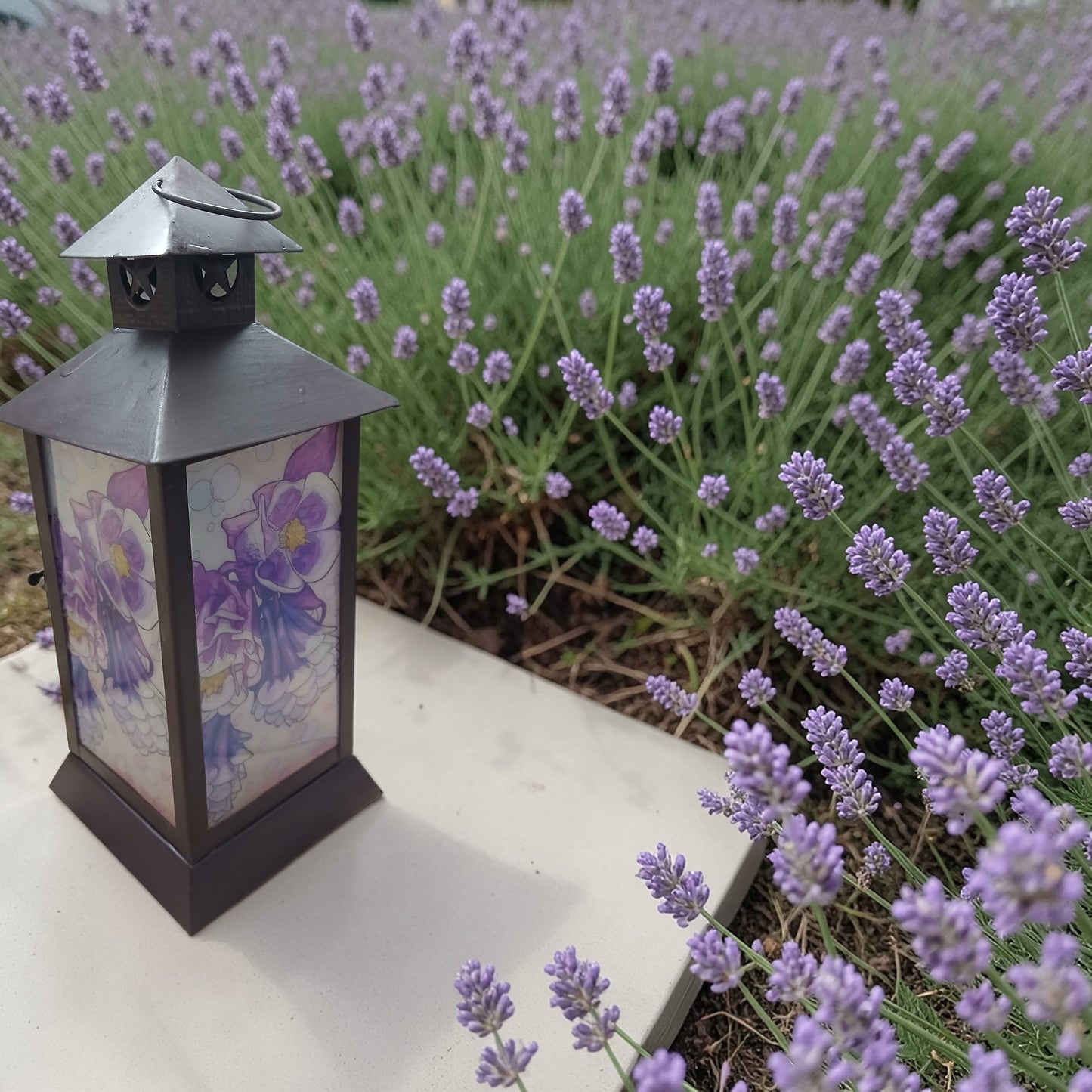 LED  Lantern  best gift