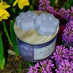 Lilac Bloom Wax Melts